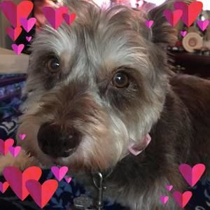 Meet your Posher, Doranne